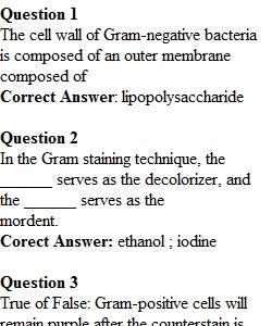 Lab Quiz 3